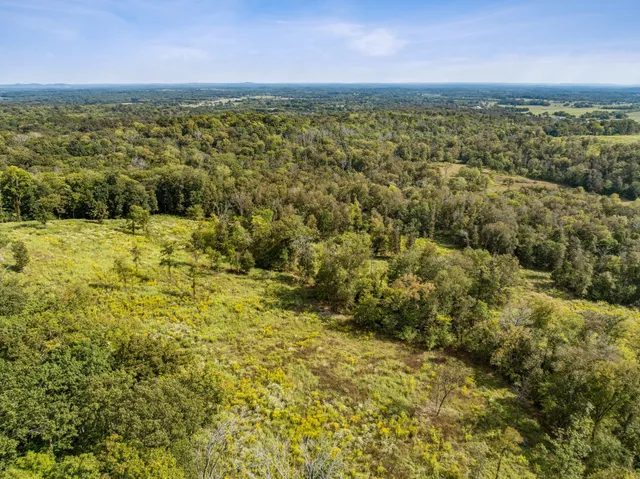 a view of an ocean and beach
