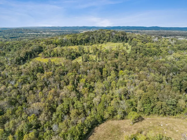 a view of a field with an ocean view