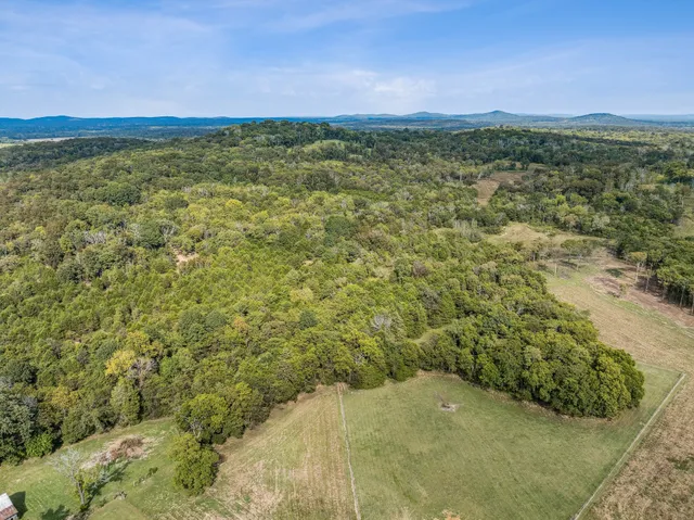 a view of a field with an ocean view