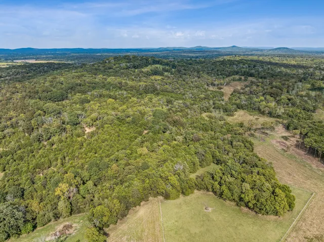 a view of a field with an ocean view