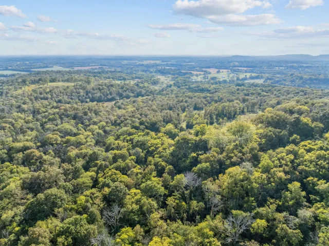 a view of a city with green space