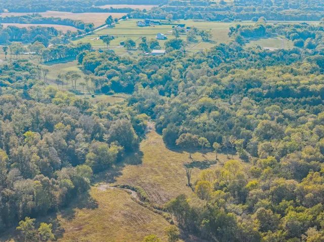an aerial view of residential house and trees