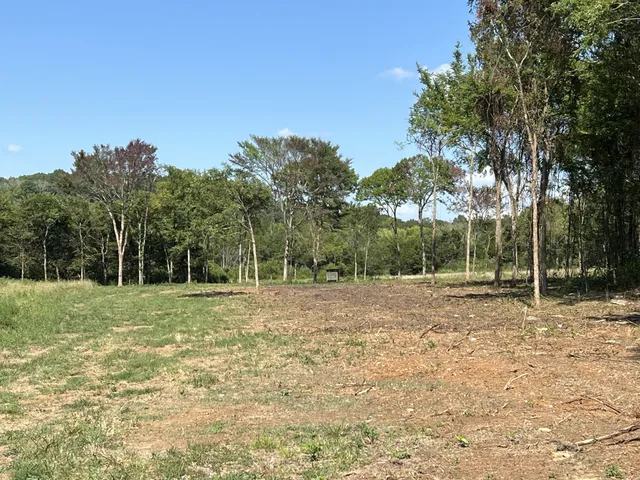 a view of a field with trees in the background