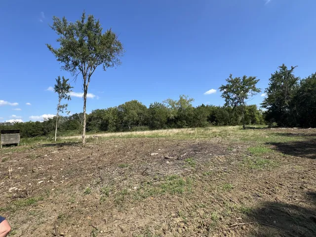 a view of outdoor space with green field