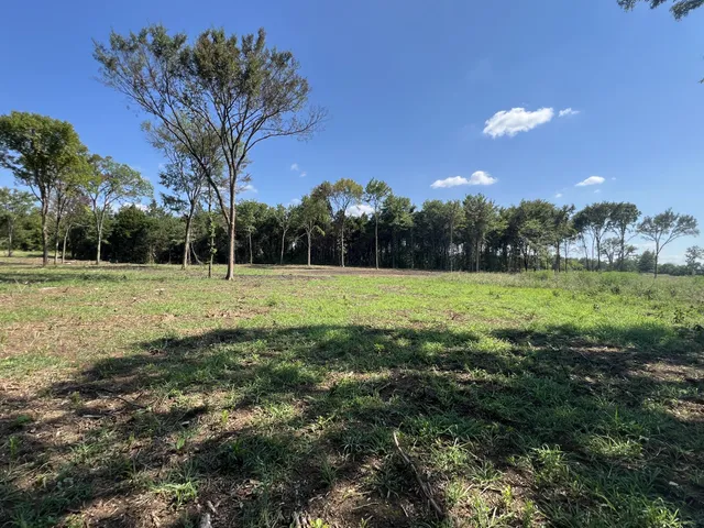 a view of outdoor space with green field