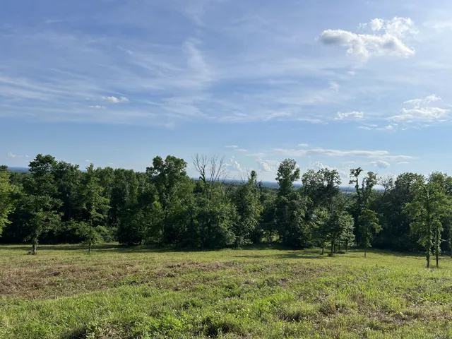 a view of a green field with wooden fence