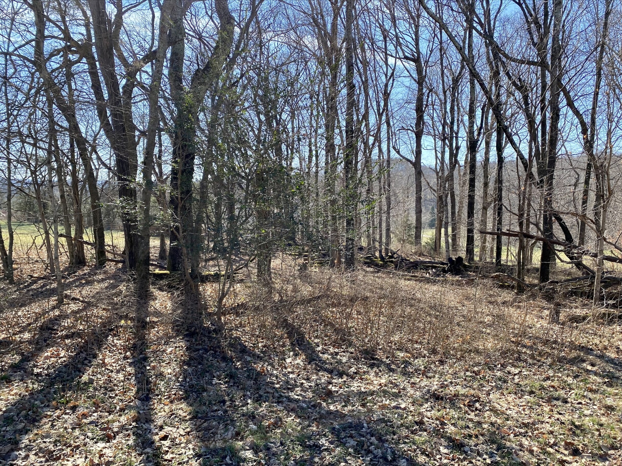 1649 Old Lake Road Lewisburg, TN 37091 - Photo 12 of 26 Gallery Image 12