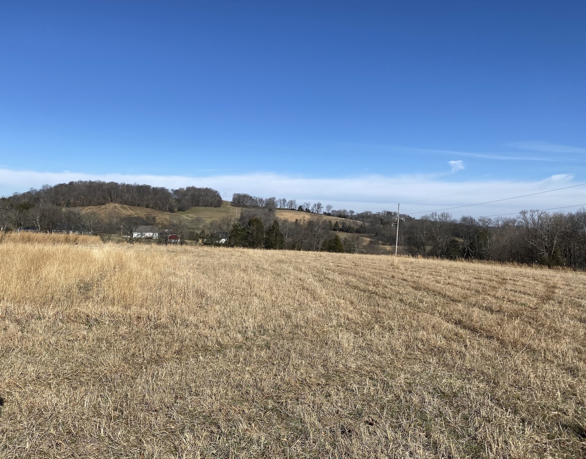 1649 Old Lake Road Lewisburg, TN 37091 - Photo 16 of 26 Gallery Image 16