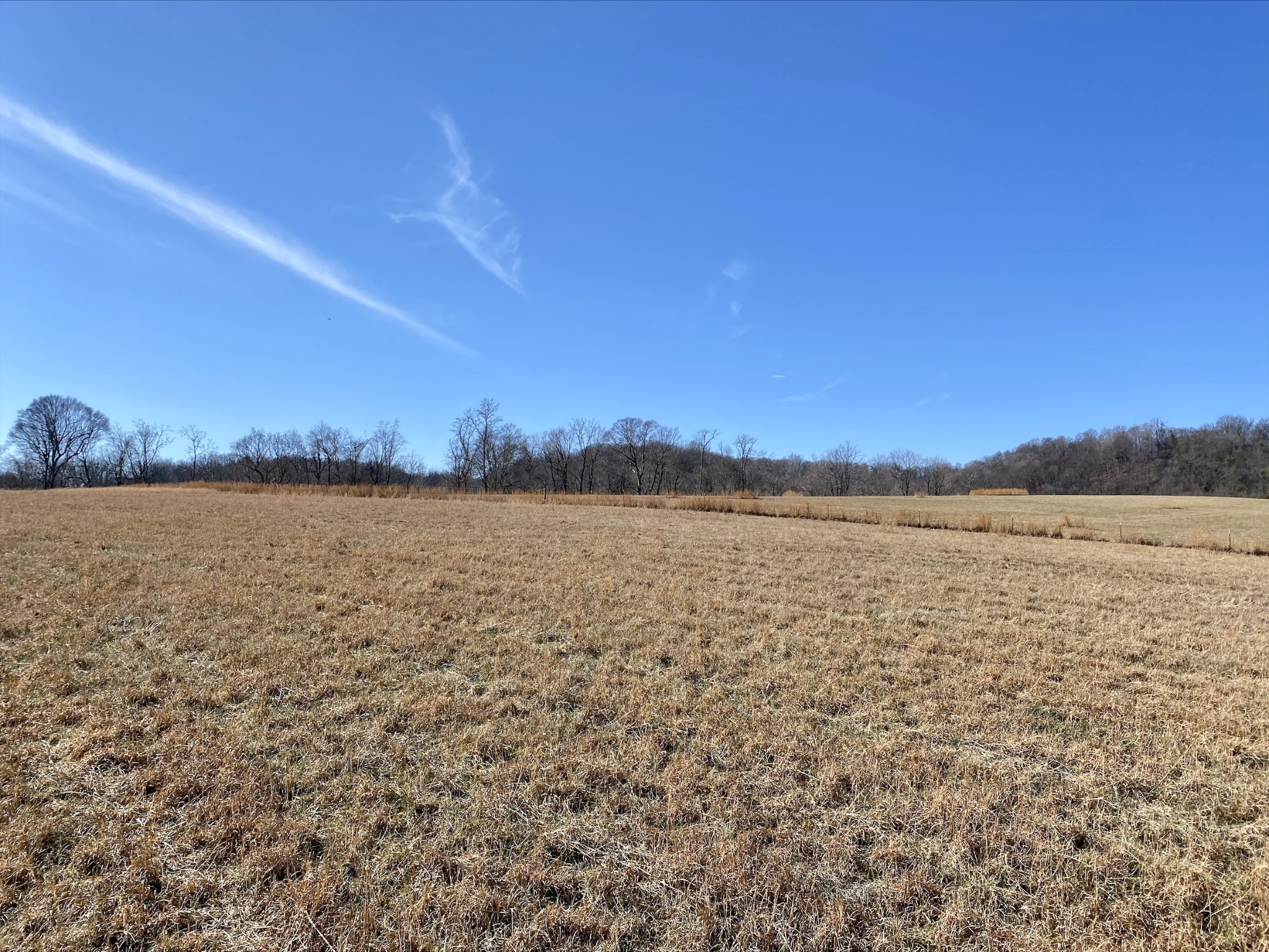 1649 Old Lake Road Lewisburg, TN 37091 - Photo 17 of 26 Gallery Image 17