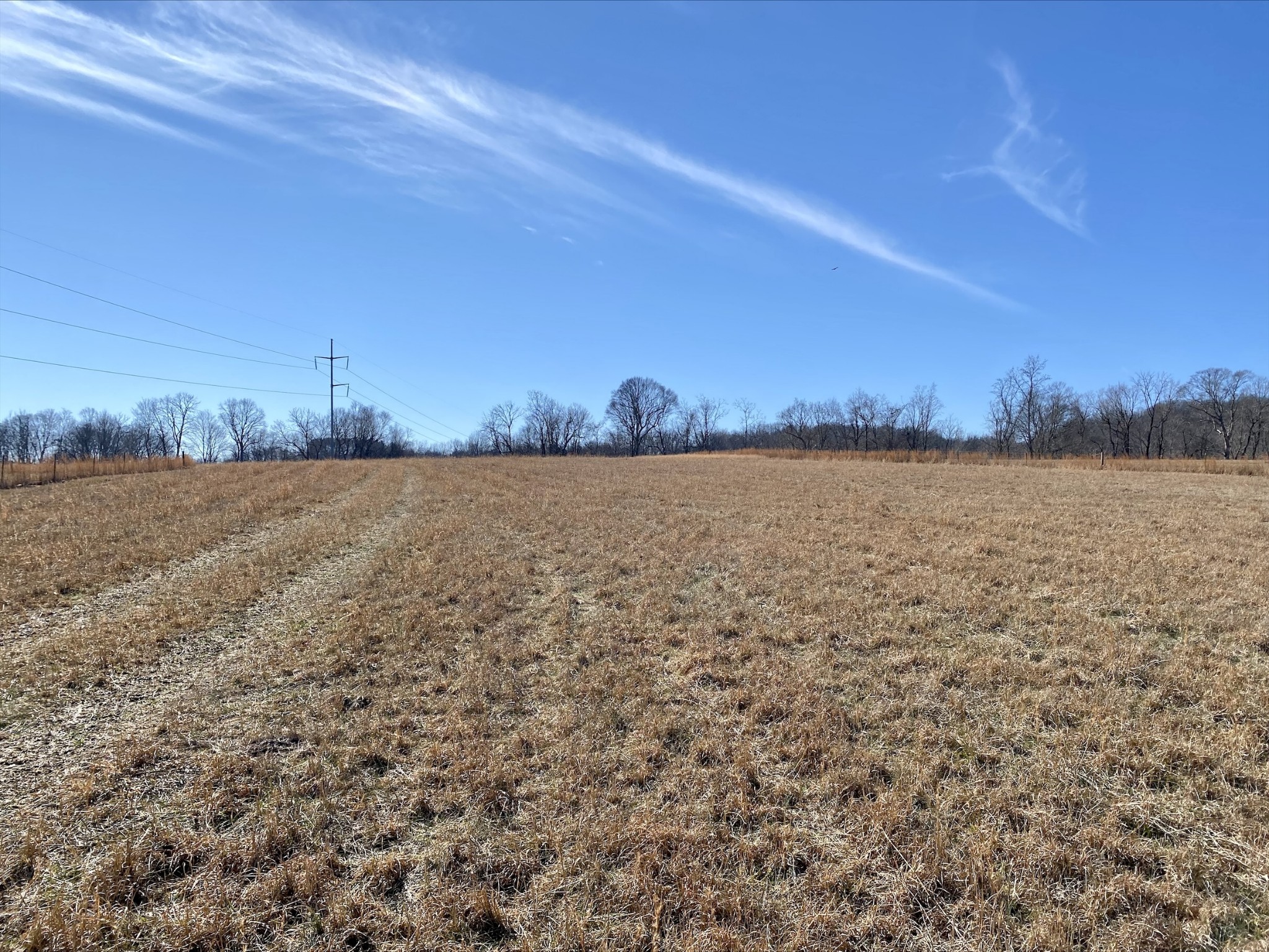 1649 Old Lake Road Lewisburg, TN 37091 - Photo 18 of 26 Gallery Image 18