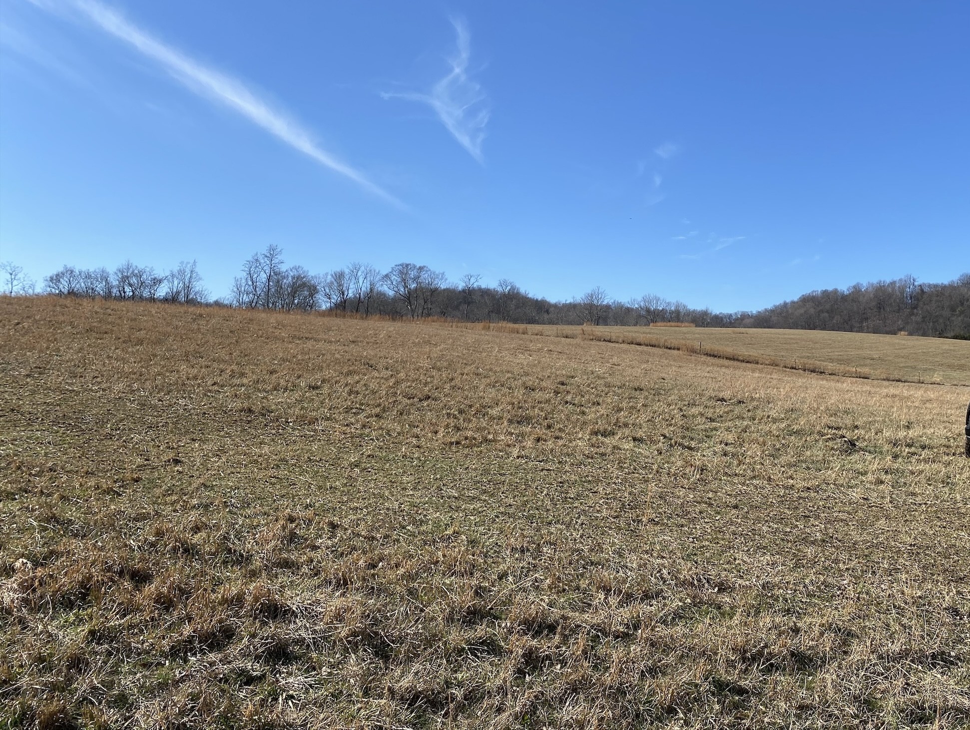 1649 Old Lake Road Lewisburg, TN 37091 - Photo 19 of 26 Gallery Image 19