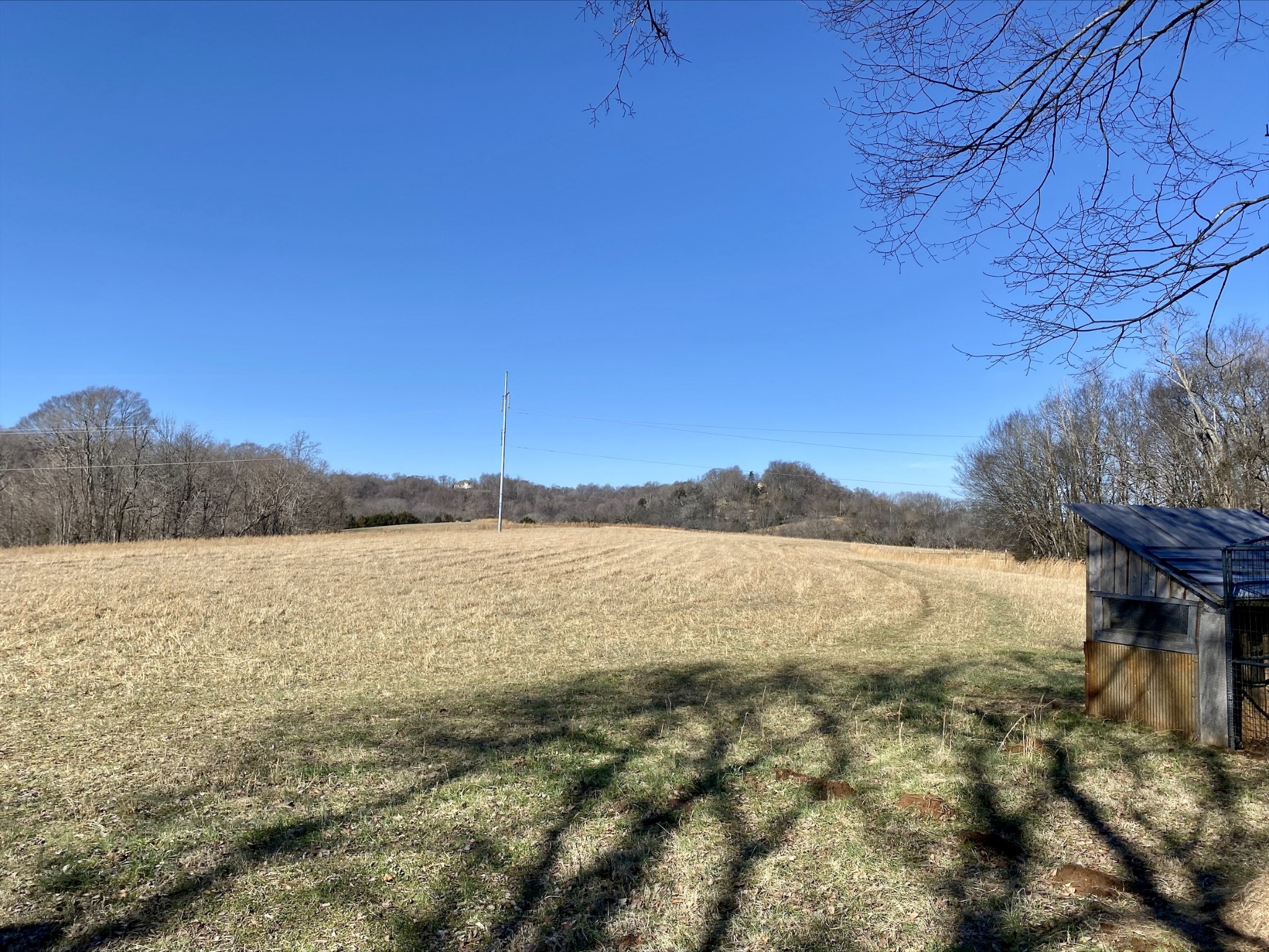 1649 Old Lake Road Lewisburg, TN 37091 - Photo 8 of 26 Gallery Image 8