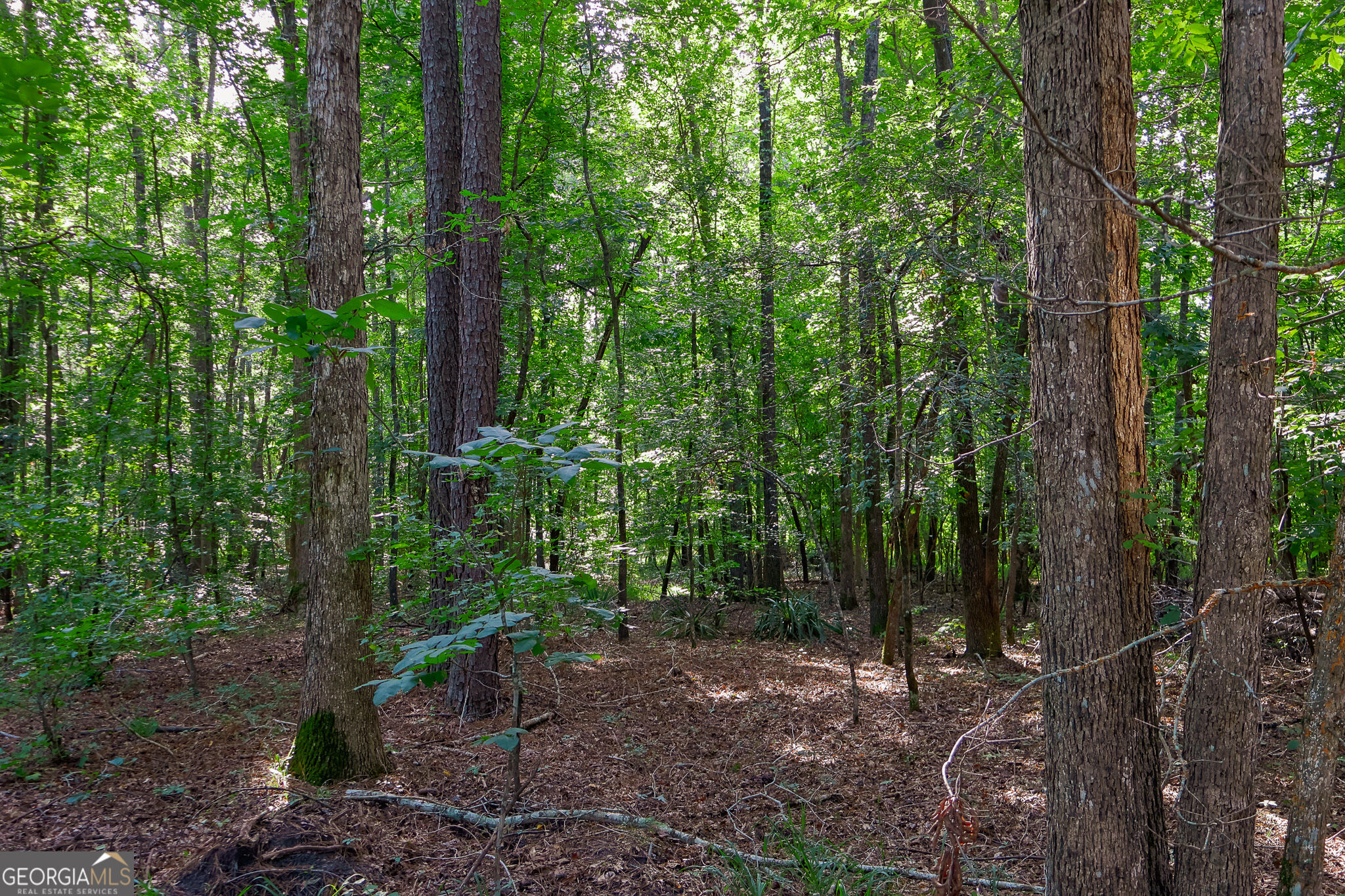 1362 Doyle Road Sardis, GA 30456 - Photo 30 of 53 Gallery Image 30