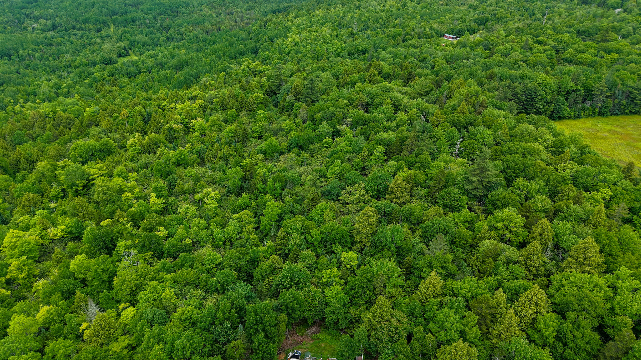 0 Chaney Way Aurora, ME 04408 - Photo 6 of 8