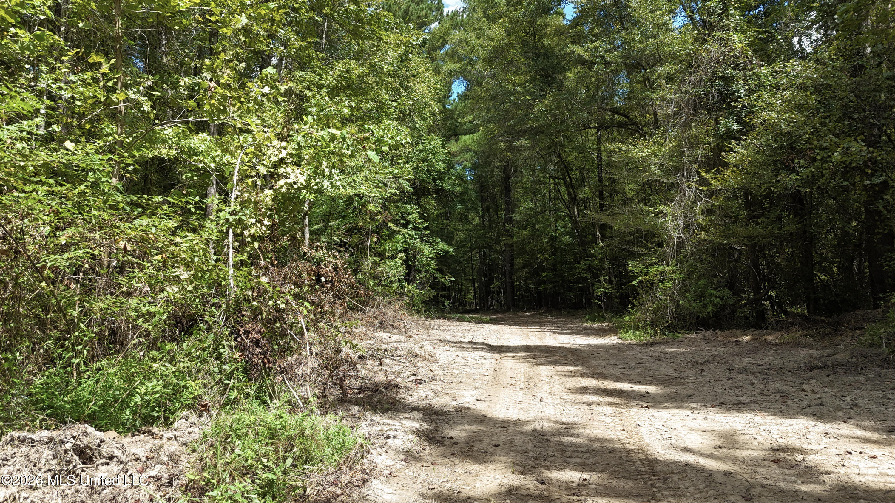Shiloh Road Brandon, MS 39042 - Photo 30 of 127 33-DJI_20260901121237_0143_D