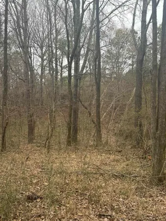 a view of large yard