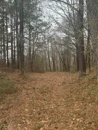 $312,900 | 0 Highway 195 Highway, Oakland, TN 38060