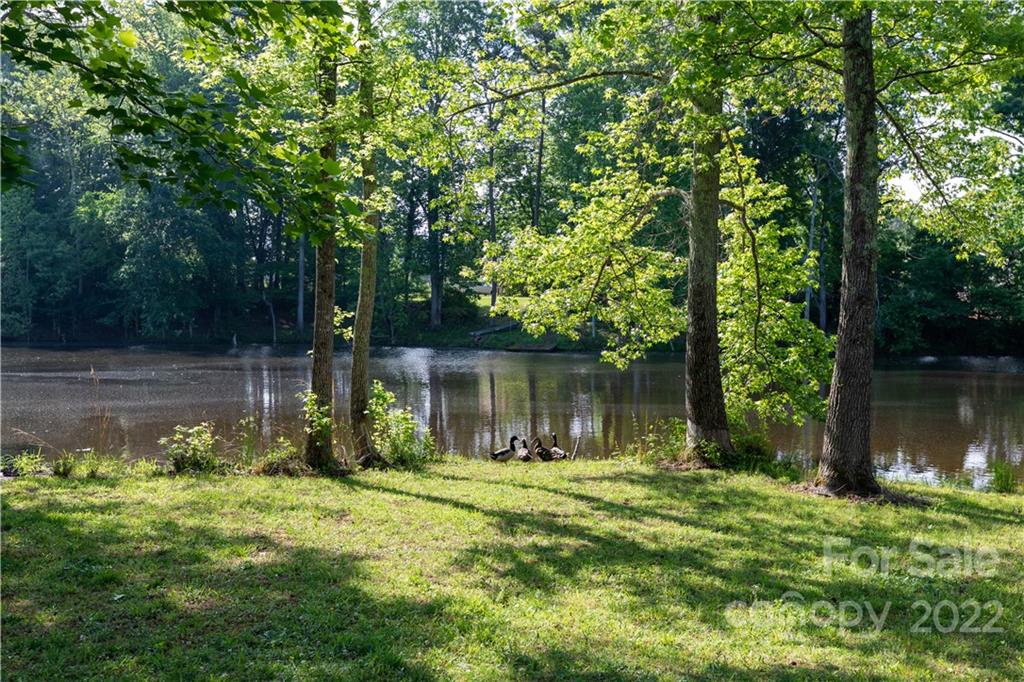 1279 Lake Road Clover, SC 29710 - Photo 33 of 44 a backyard of a house with lots of green space and lake view
