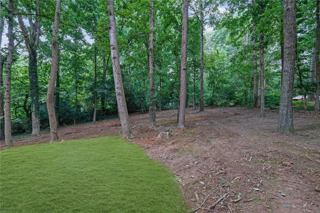 2000 Doefield Street Canton, GA 30115 - Photo 40 of 45