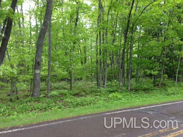 7 Bootjack Road, Unit PRINCESS POINT AREA Lake Linden, MI 49945 - Photo 25 of 32 Gallery Image 25