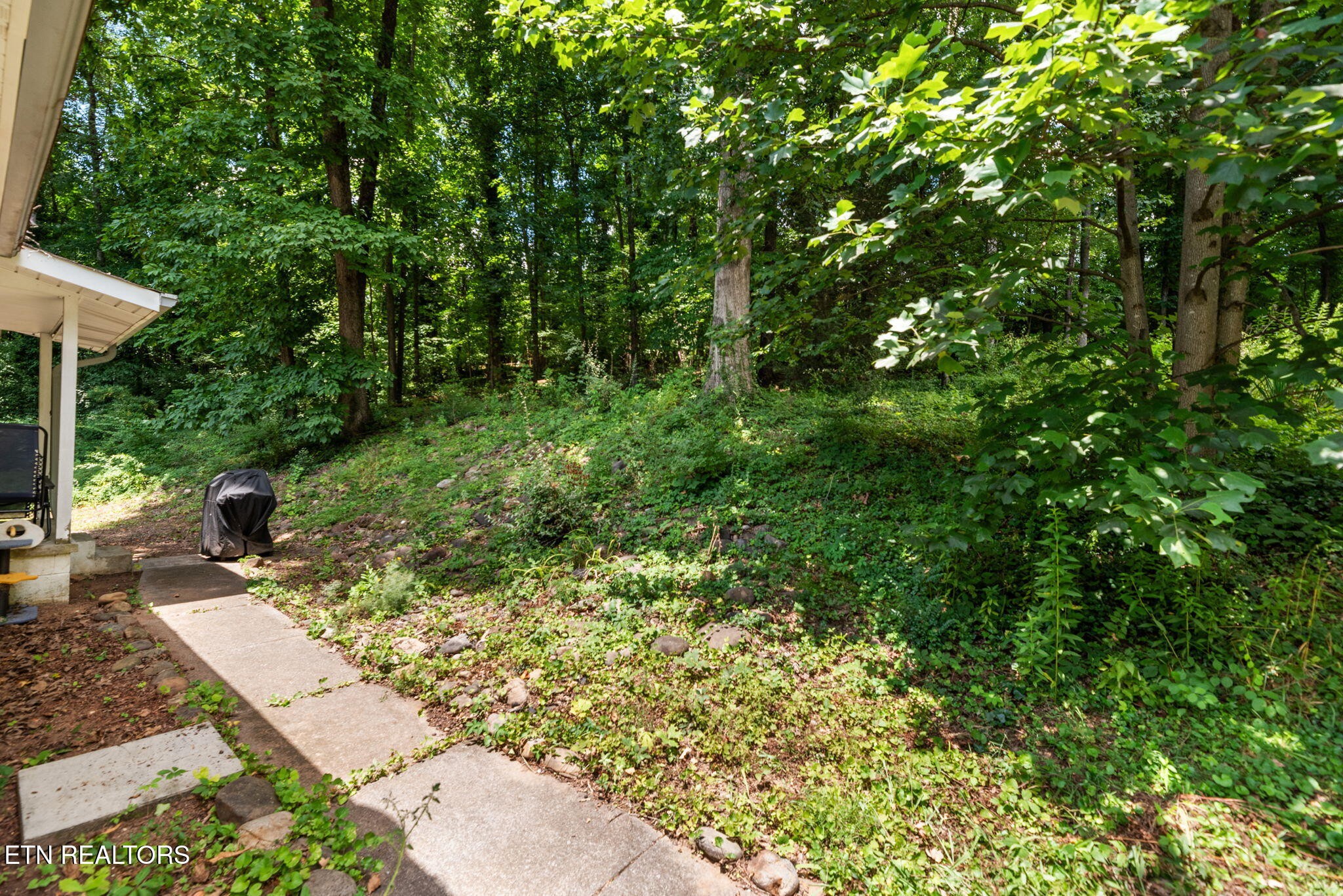 166 Outer Drive Oak Ridge, TN 37830 - Photo 24 of 30 a view of yard with green space