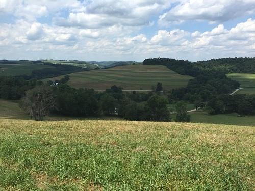 425 Shaffer Road Mayport, PA 16240 - Photo 11 of 21 a view of a lake with a yard