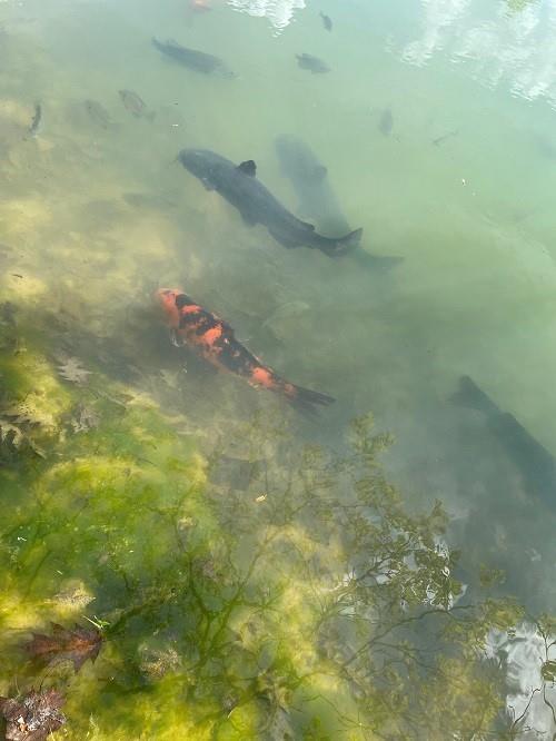 425 Shaffer Road Mayport, PA 16240 - Photo 13 of 21