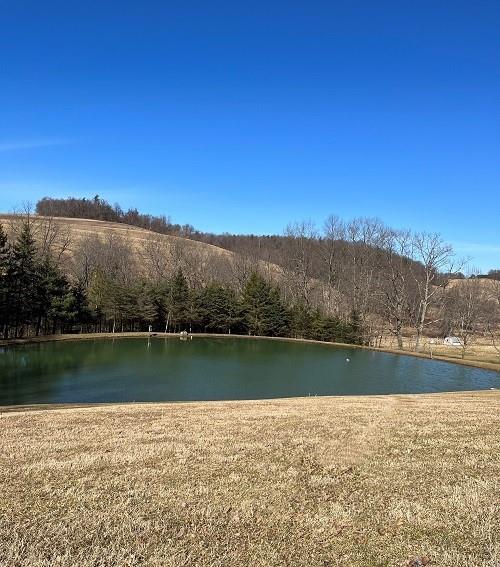 425 Shaffer Road Mayport, PA 16240 - Photo 15 of 21 a view of a lake