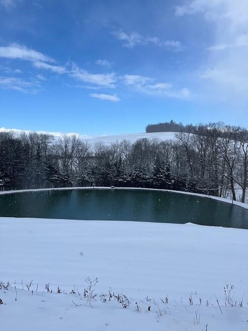 425 Shaffer Road Mayport, PA 16240 - Photo 16 of 21