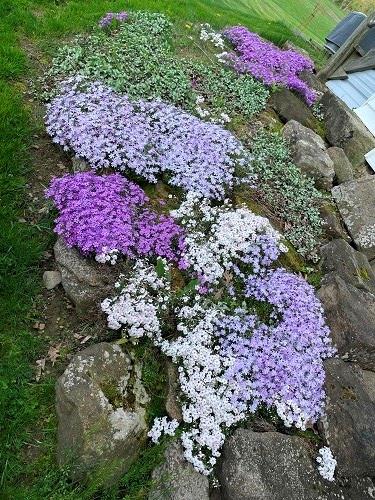 425 Shaffer Road Mayport, PA 16240 - Photo 18 of 21 a view of a area with flowers