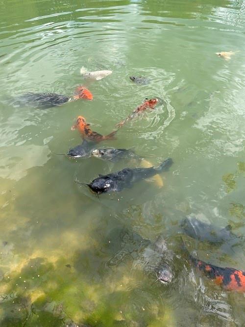 425 Shaffer Road Mayport, PA 16240 - Photo 19 of 21 a view of beach