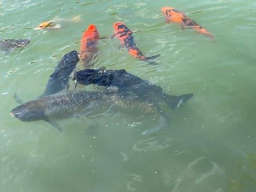 425 Shaffer Road Mayport, PA 16240 - Photo 21 of 21 a view of kids room
