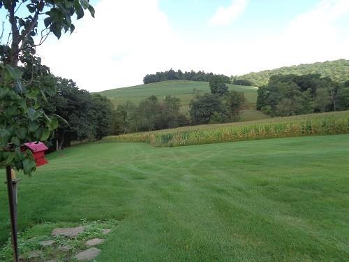 425 Shaffer Road Mayport, PA 16240 - Photo 3 of 21 a view of a field