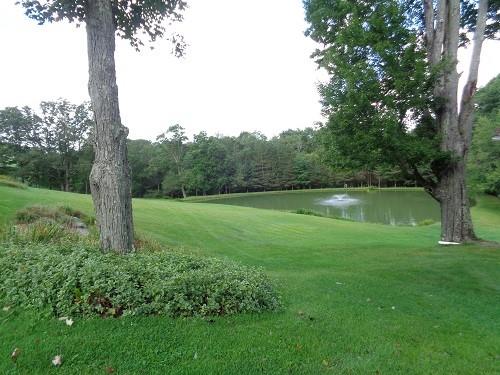 425 Shaffer Road Mayport, PA 16240 - Photo 7 of 21 a view of a garden with a tree