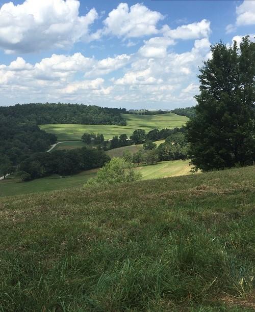 425 Shaffer Road Mayport, PA 16240 - Photo 10 of 21 a view of a lake with a yard