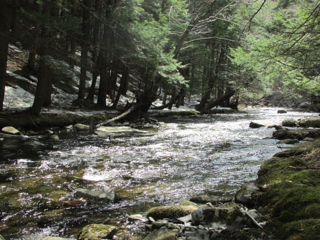 1377 Branch Road Halifax, VT 05358 - Photo 17 of 25