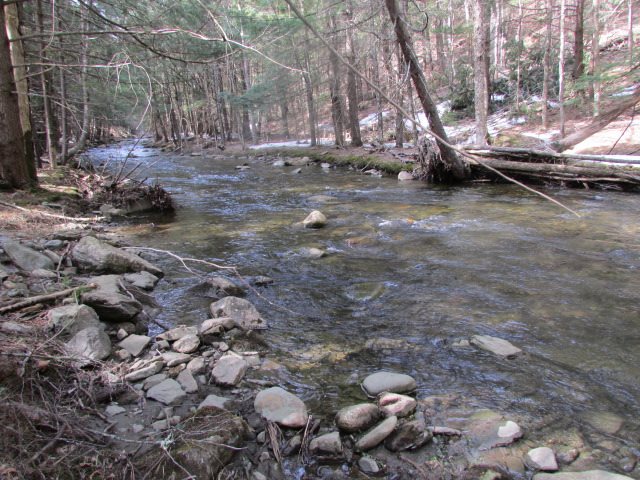 1377 Branch Road Halifax, VT 05358 - Photo 18 of 25