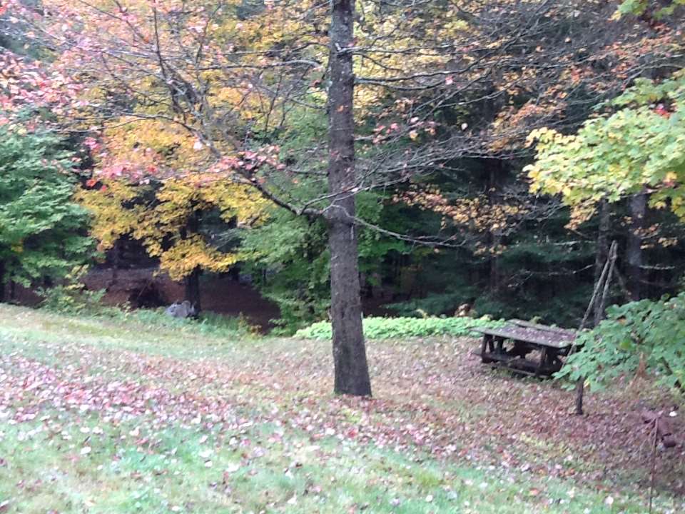 1377 Branch Road Halifax, VT 05358 - Photo 24 of 25
