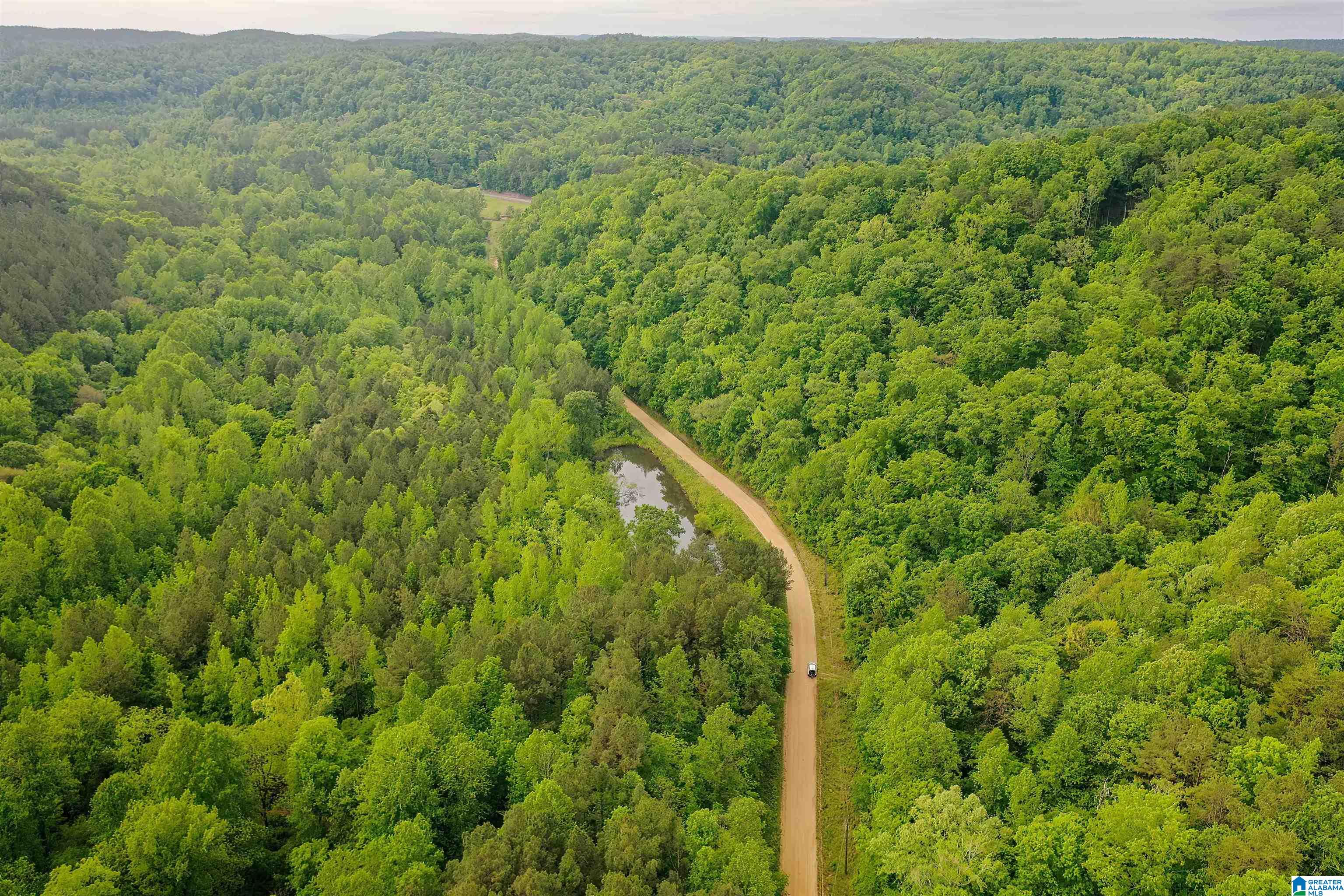 0 Wolf Creek Road Carbon Hill, AL 35549 - Photo 2 of 29
