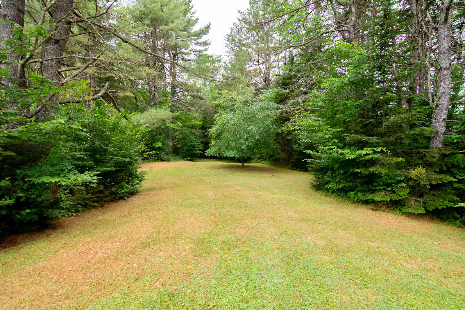 173 Mill Road Dedham, ME 04429 - Photo 40 of 65 173MillRd-63