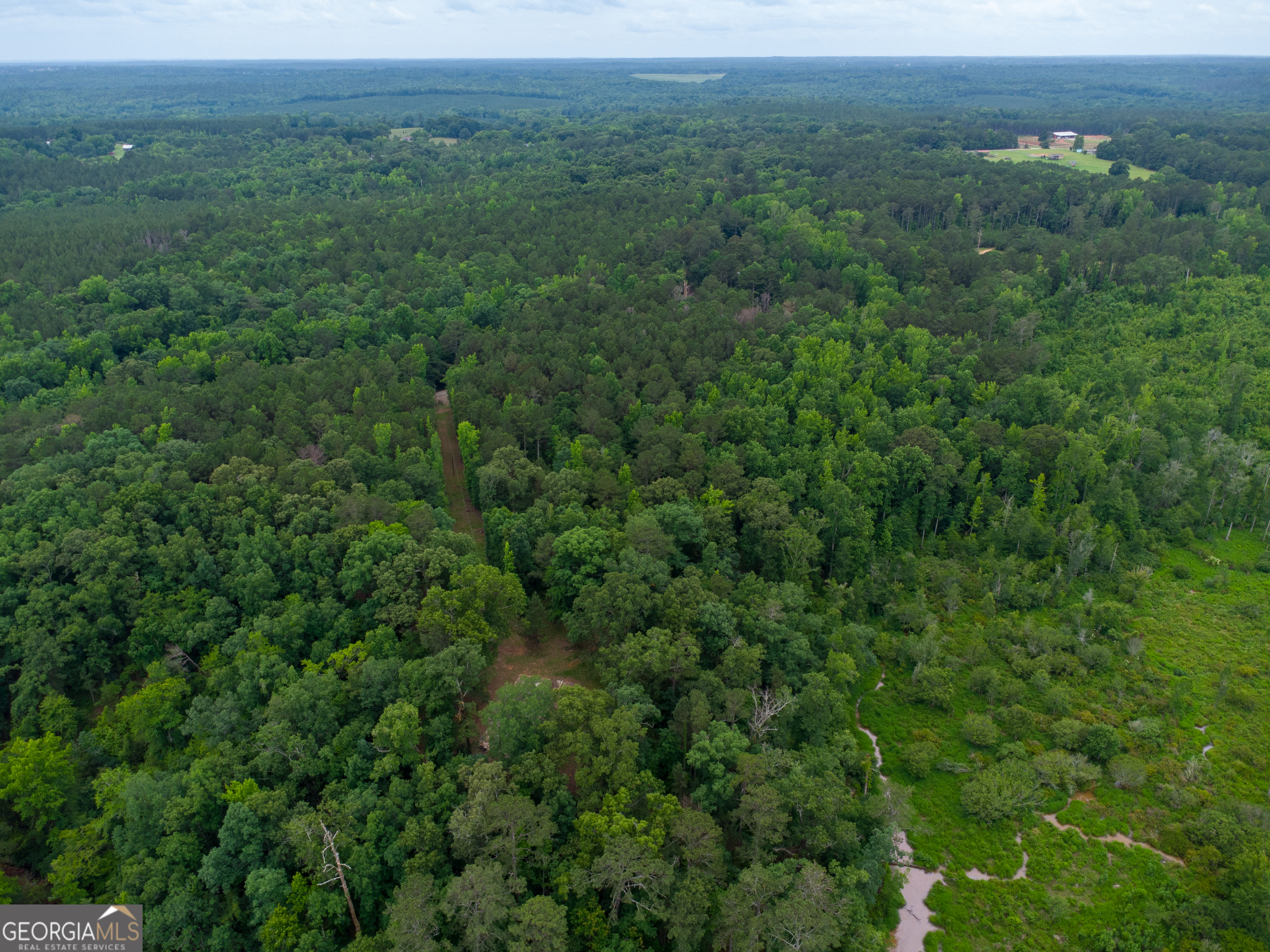 331 Potts Pond Road Barnesville, GA 30204 - Photo 6 of 9