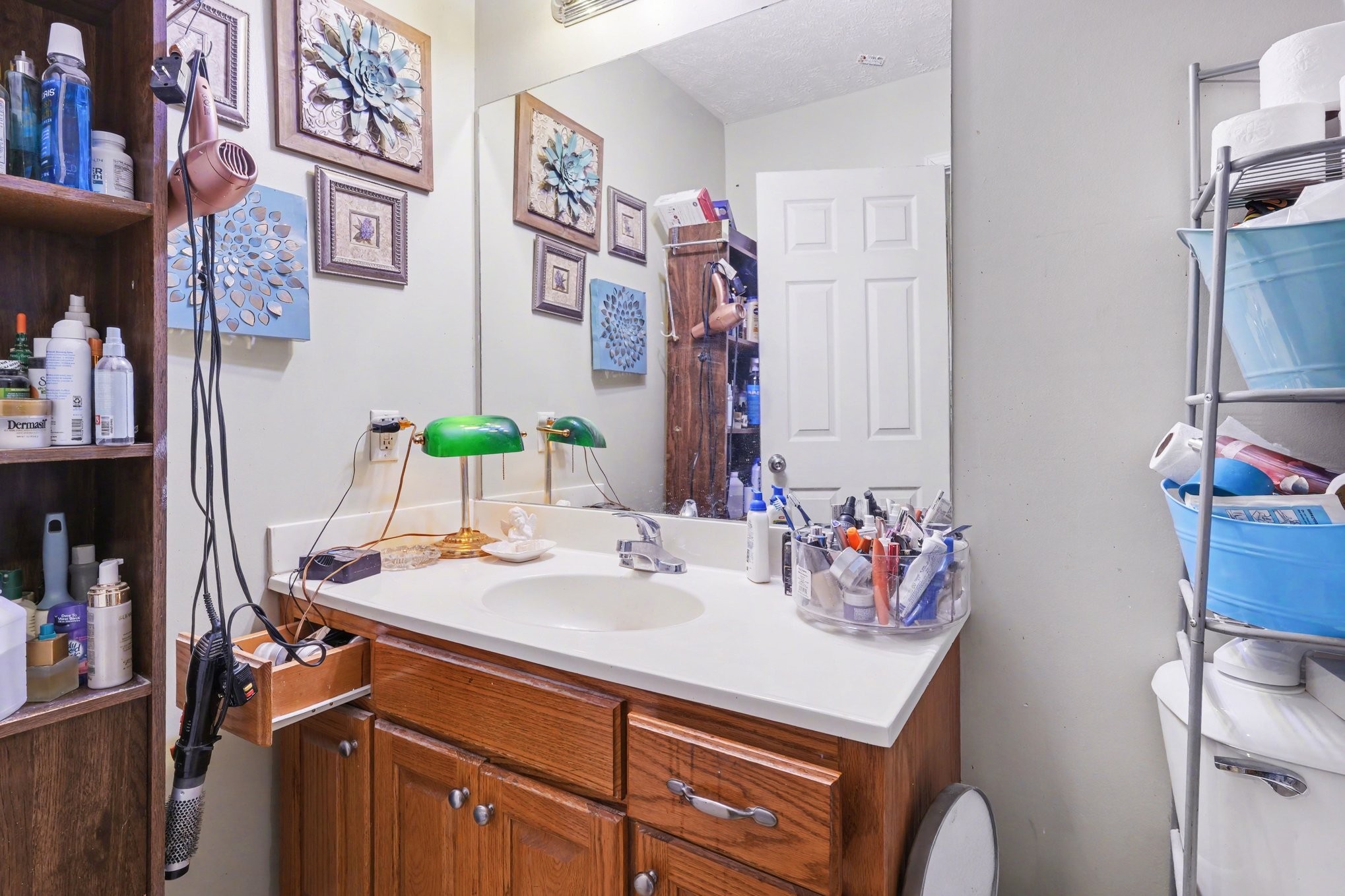 2490 Monte Murrey Road Lewisburg, TN 37091 - Photo 15 of 30 a bathroom with a sink vanity and a mirror
