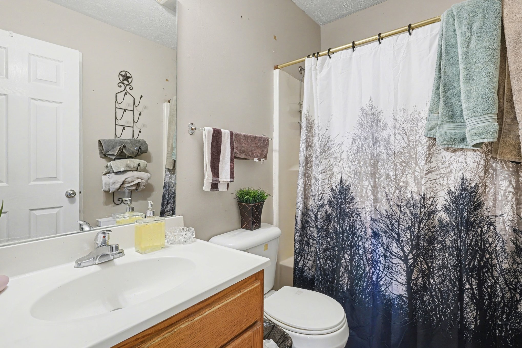 2490 Monte Murrey Road Lewisburg, TN 37091 - Photo 22 of 30 a bathroom with a sink a toilet and shower curtain