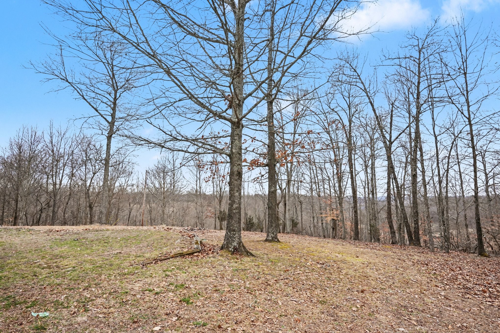 2490 Monte Murrey Road Lewisburg, TN 37091 - Photo 27 of 30 a backyard of a house