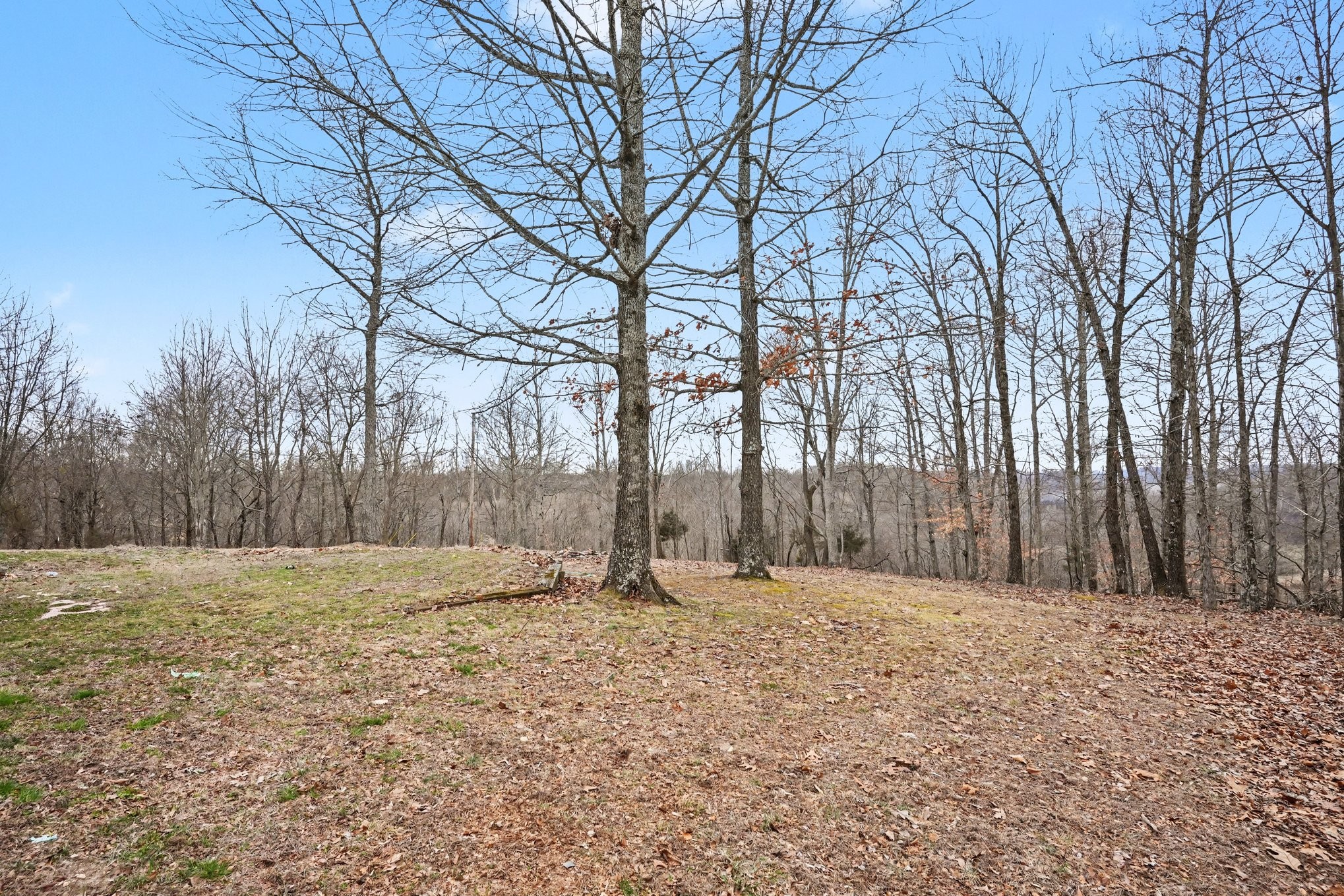 2490 Monte Murrey Road Lewisburg, TN 37091 - Photo 28 of 30 a backyard of a house with trees