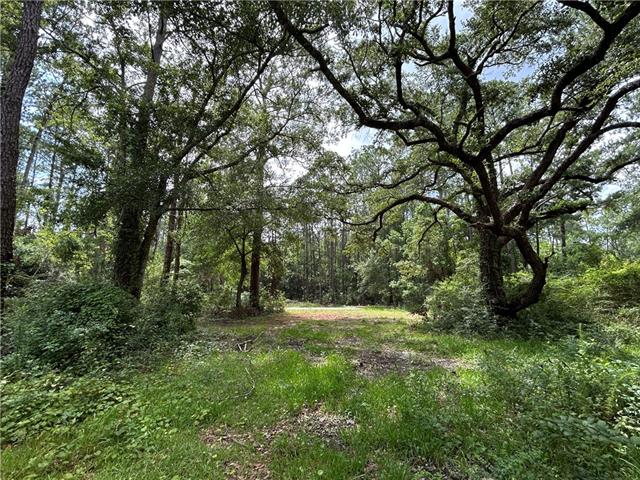 60017 South Tranquility Road Lacombe, LA 70445 - Photo 4 of 6