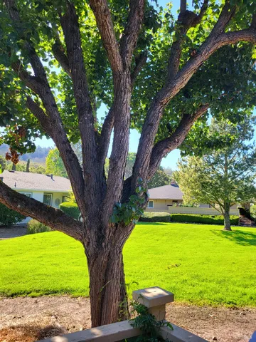 a view of a room with a large window