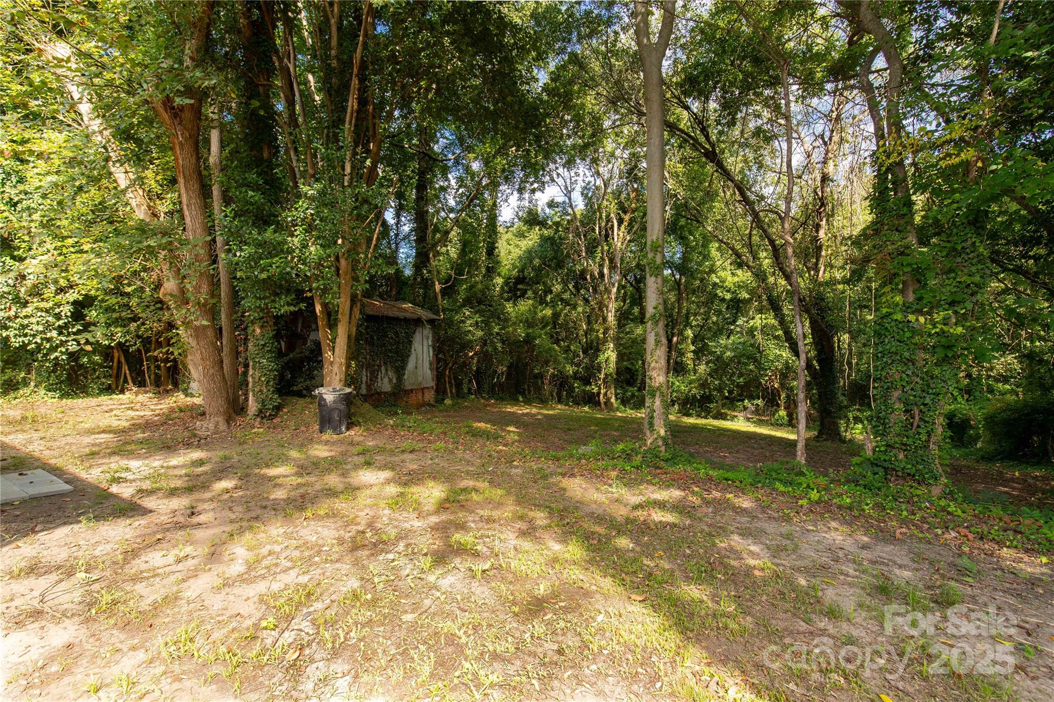 310 Elm Street Lancaster, SC 29720 - Photo 29 of 48 a view of a backyard with large trees