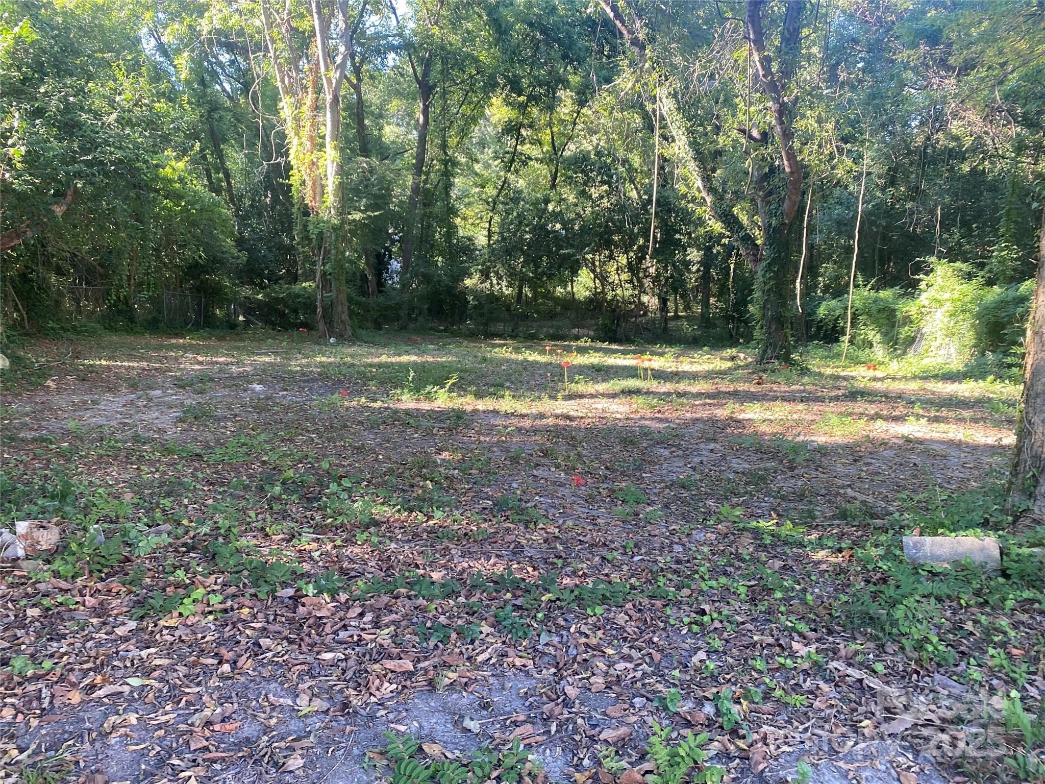 310 Elm Street Lancaster, SC 29720 - Photo 30 of 48 a view of a yard with a trees