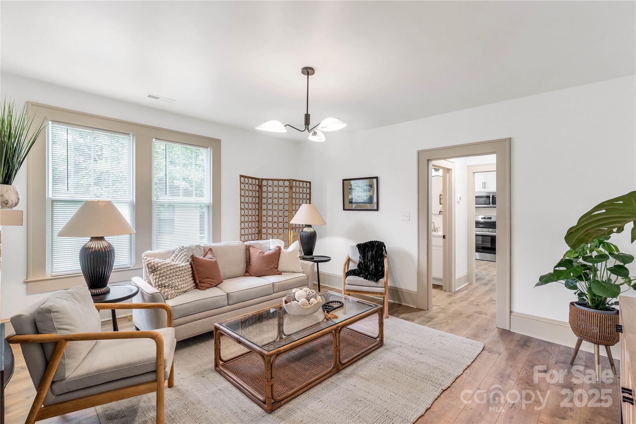 310 Elm Street Lancaster, SC 29720 - Photo 8 of 48 a living room with furniture and a potted plant